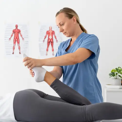 Curso de Anatomia Aplicada à Fisioterapia