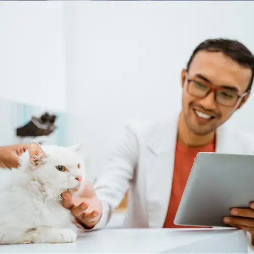 Curso de Bem-Estar e Comportamento Animal